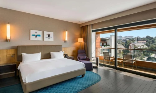 رادیسون بلو توزلا